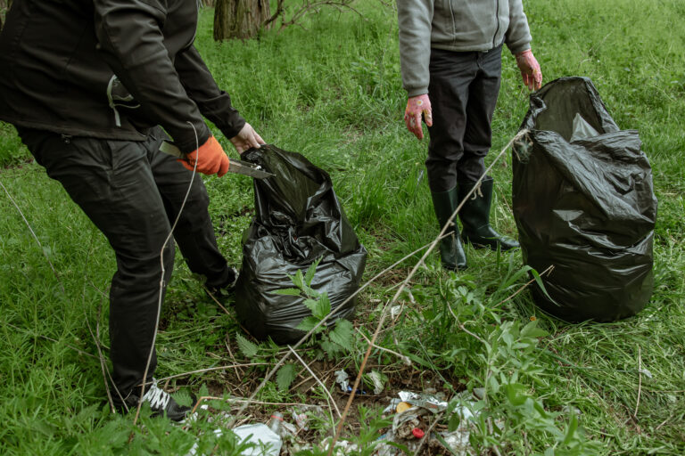 Volunteers clear the forest from debris close up.